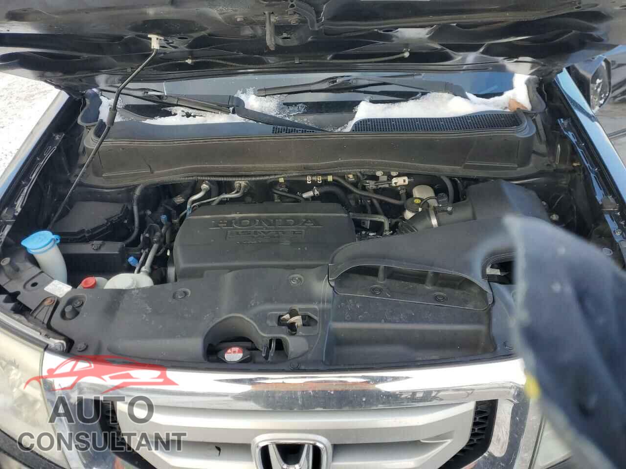 HONDA PILOT 2011 - 5FNYF4H55BB068954