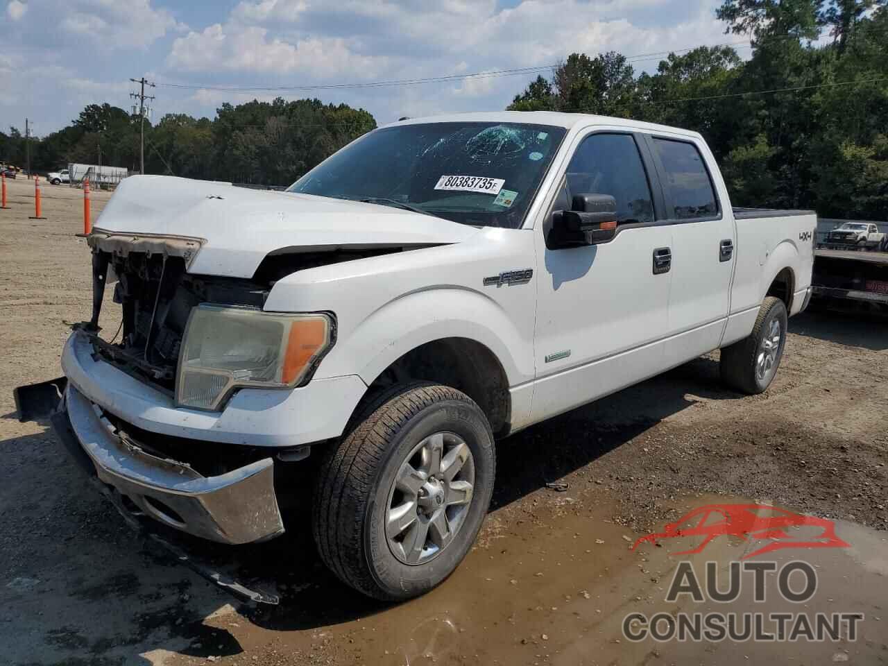 FORD F-150 2013 - 1FTFW1ET0DKG18785