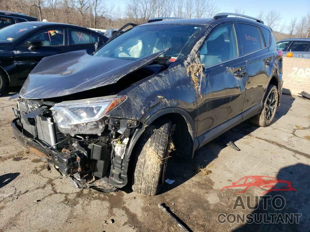 TOYOTA RAV4 2016 - 2T3JFREV8GW437293