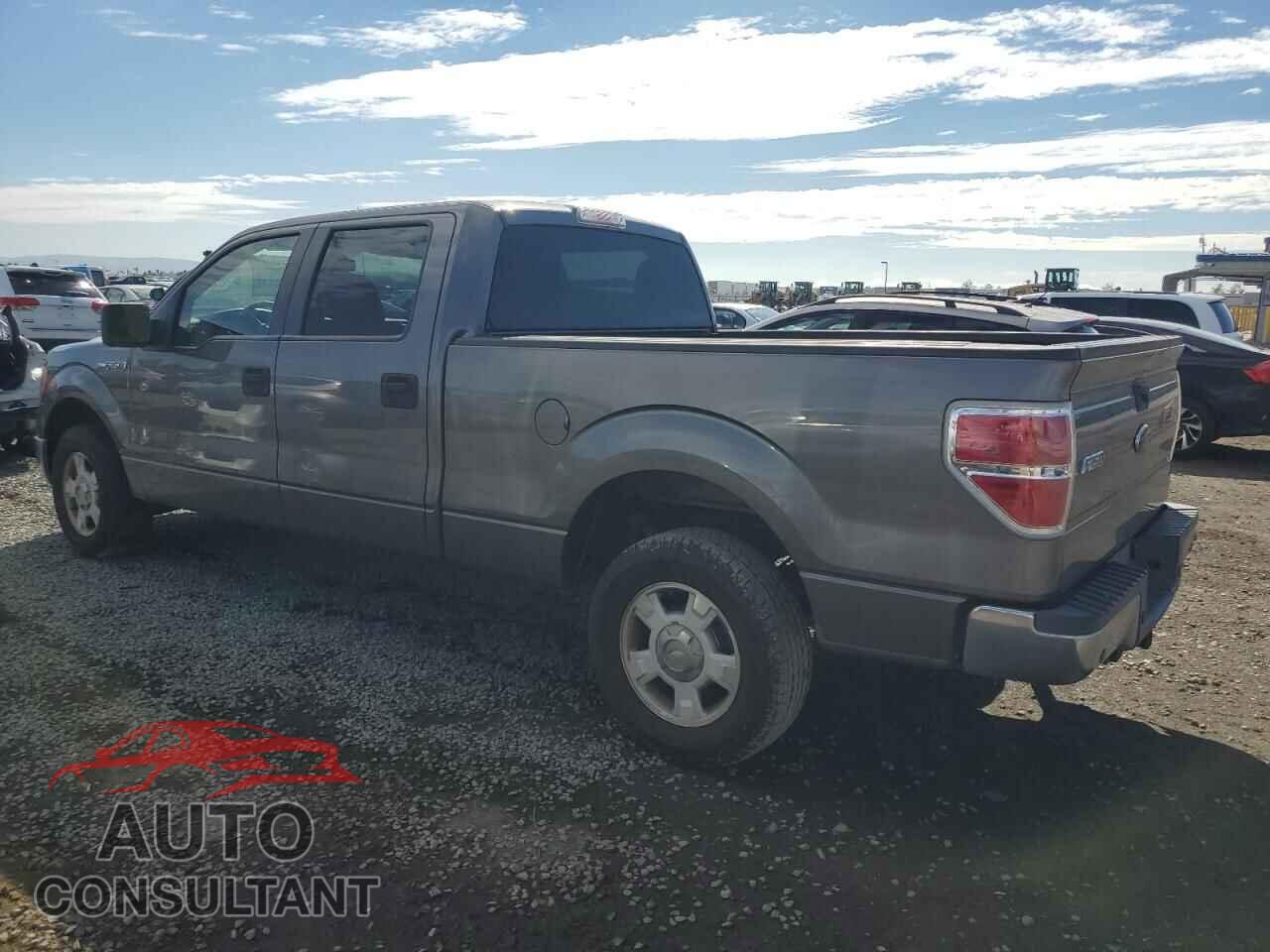 FORD F-150 2010 - 1FTEW1C86AFB18158