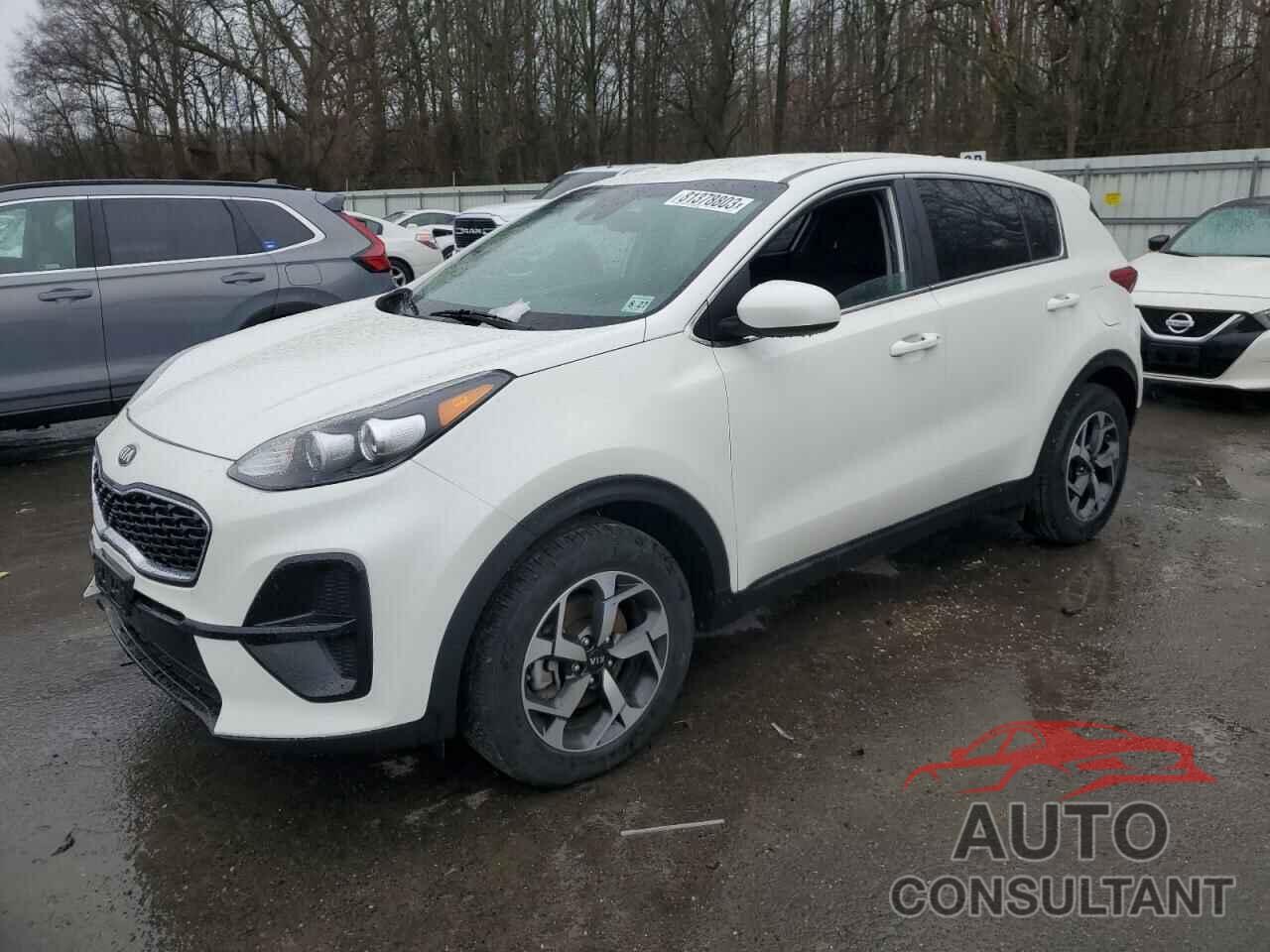 KIA SPORTAGE 2022 - KNDPM3AC3N7986183