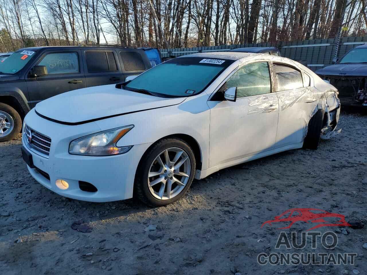 NISSAN MAXIMA 2011 - 1N4AA5AP6BC829558
