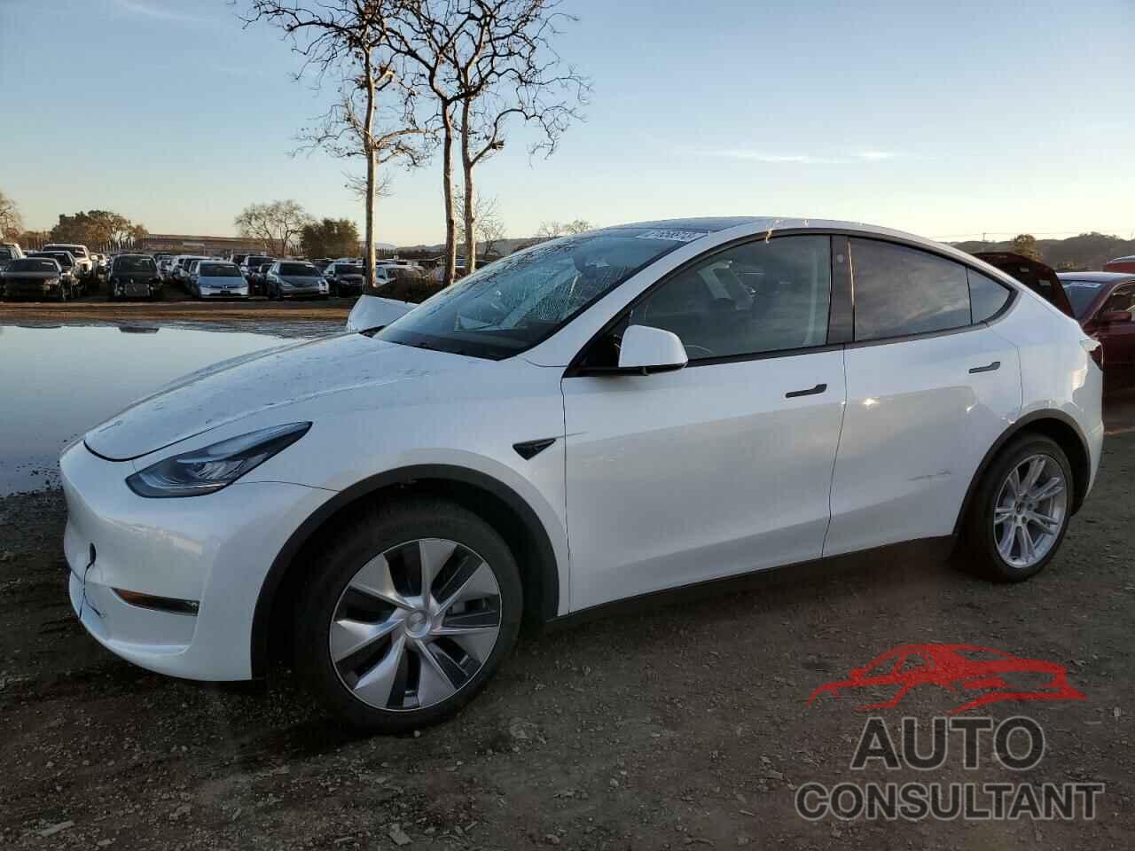 TESLA MODEL Y 2022 - 7SAYGAEE6NF505965