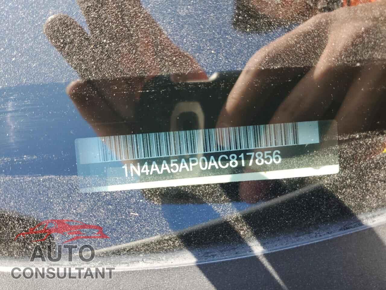 NISSAN MAXIMA 2010 - 1N4AA5AP0AC817856