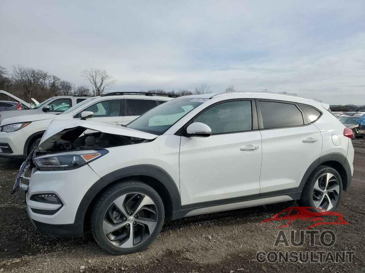 HYUNDAI TUCSON 2018 - KM8J33AL5JU772263