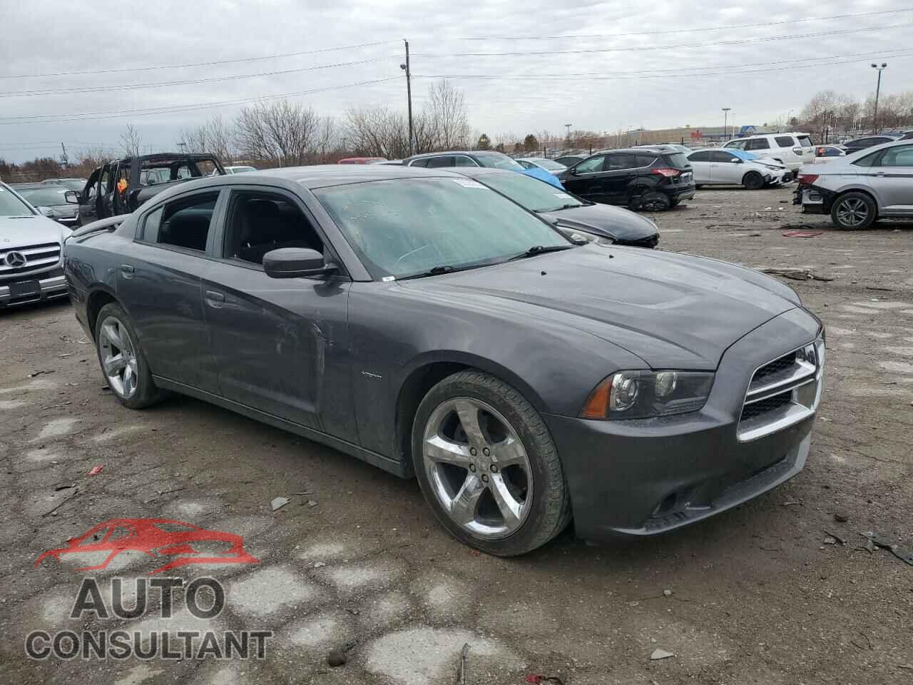 DODGE CHARGER 2014 - 2C3CDXCTXEH309269