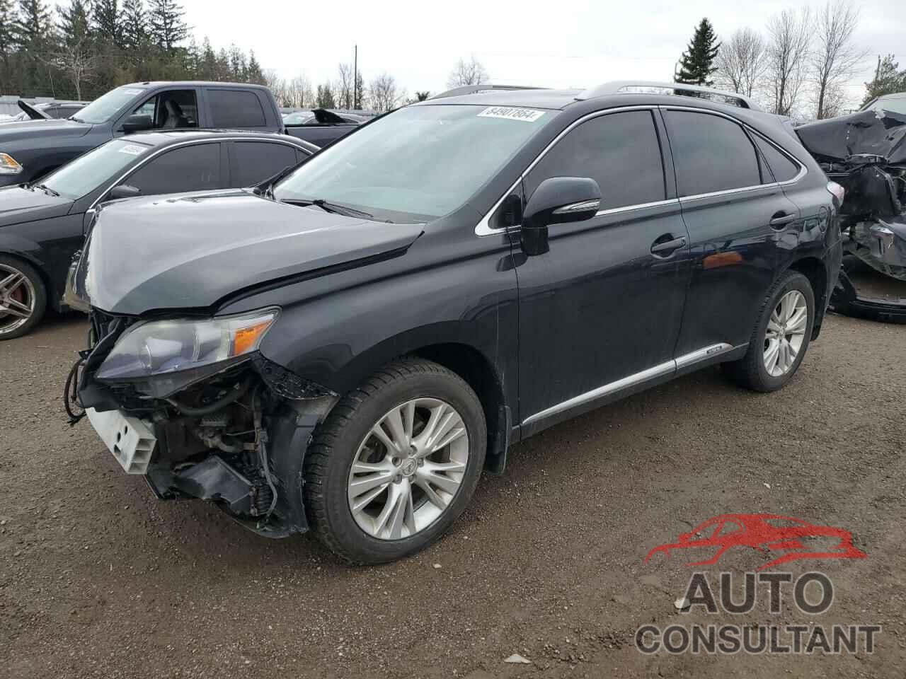 LEXUS RX450 2010 - JTJBC1BA4A2401680