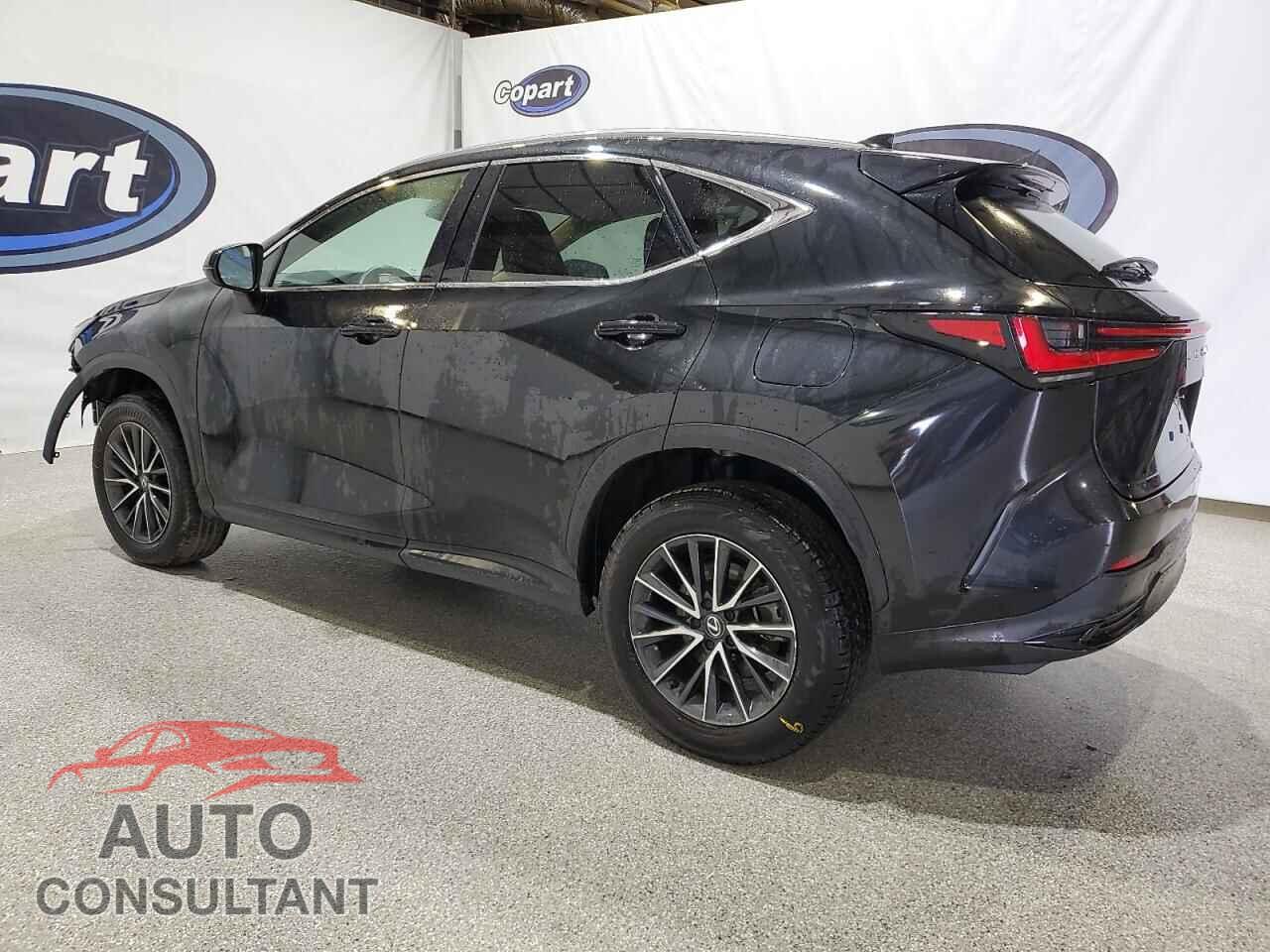 LEXUS NX 2024 - 2T2AGCEZ4RC057129
