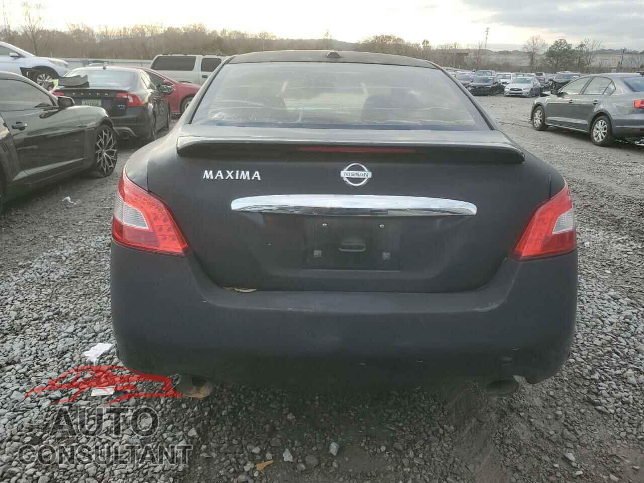 NISSAN MAXIMA 2010 - 1N4AA5AP7AC859313
