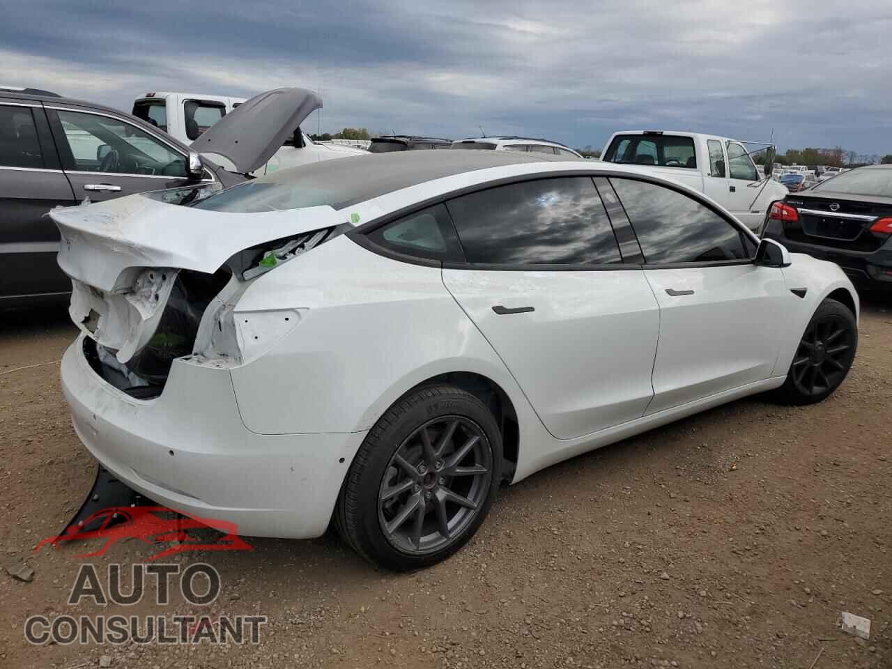 TESLA MODEL 3 2021 - 5YJ3E1EA4MF870749