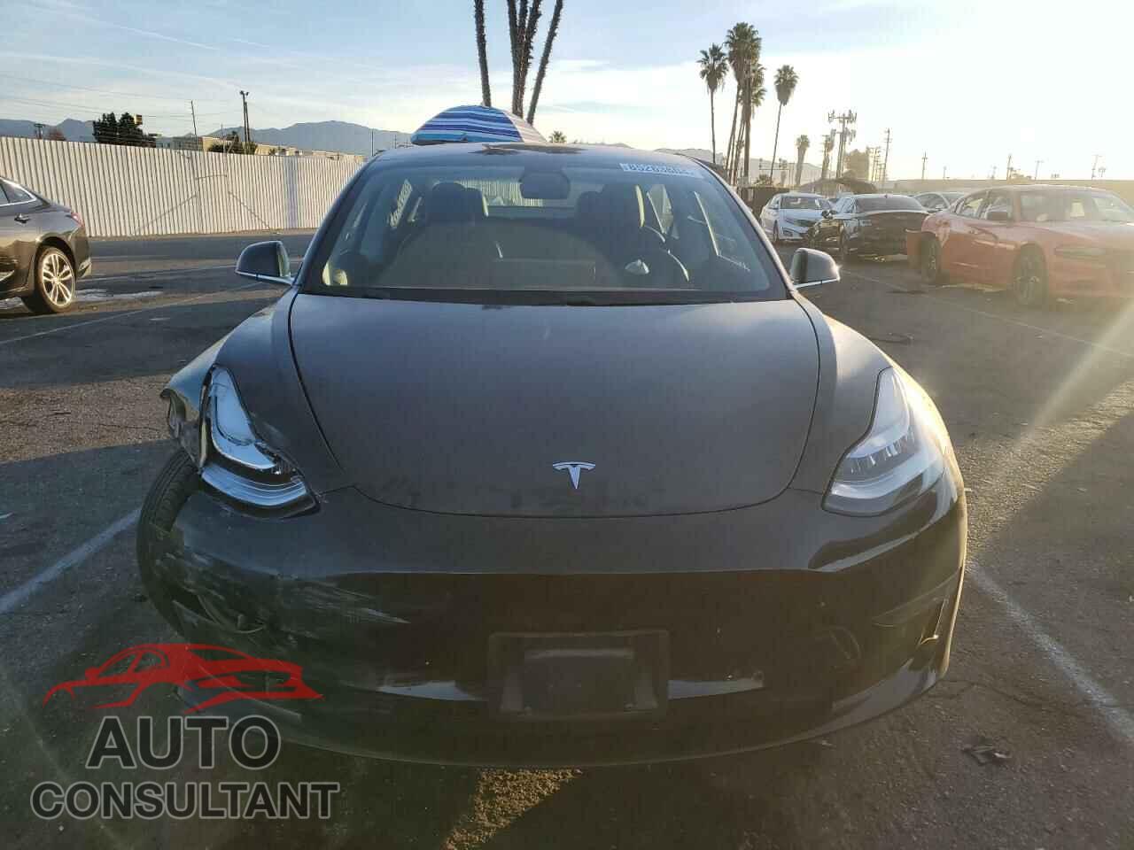 TESLA MODEL 3 2018 - 5YJ3E1EA9JF061209