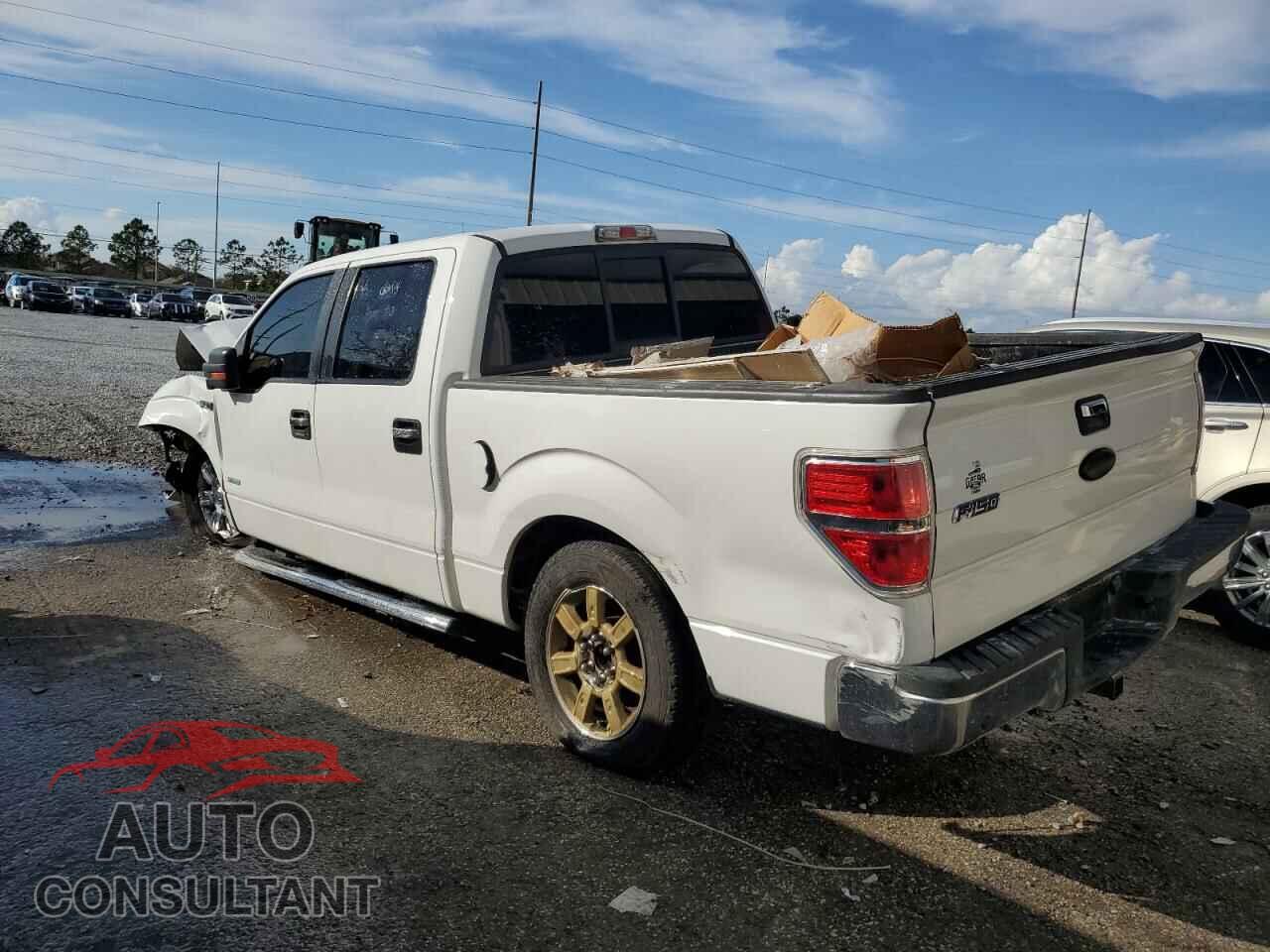 FORD F-150 2011 - 1FTFW1CTXBFB81368