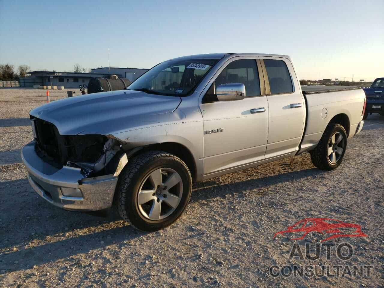 DODGE All Models 2010 - 1D7RB1GP5AS246760