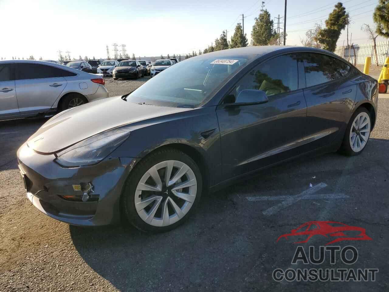 TESLA MODEL 3 2021 - 5YJ3E1EA1MF059152
