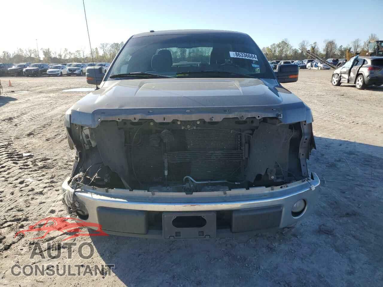 FORD F-150 2010 - 1FTEW1C84AKE58366