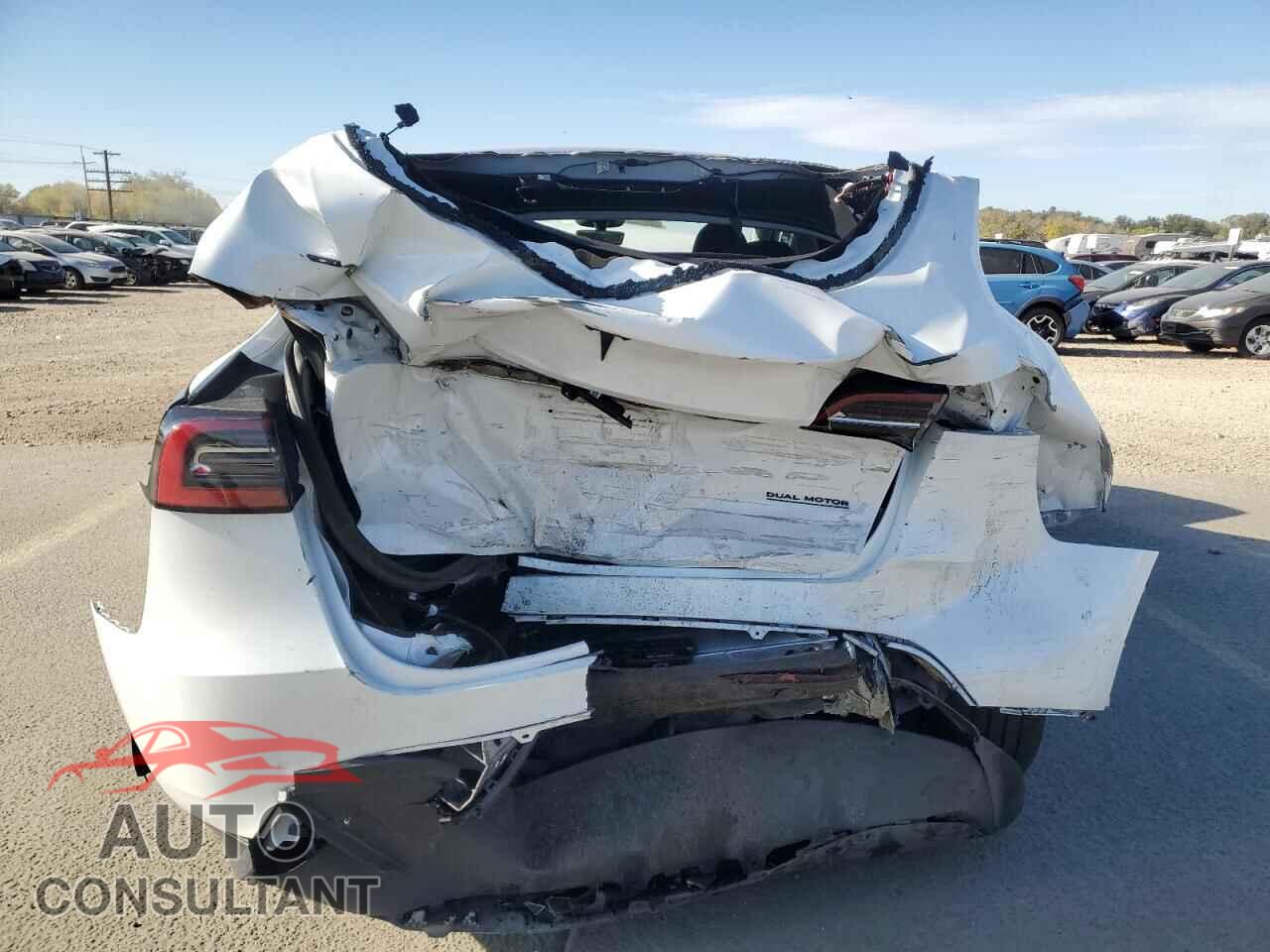 TESLA MODEL Y 2024 - 7SAYGDEF2RF027236