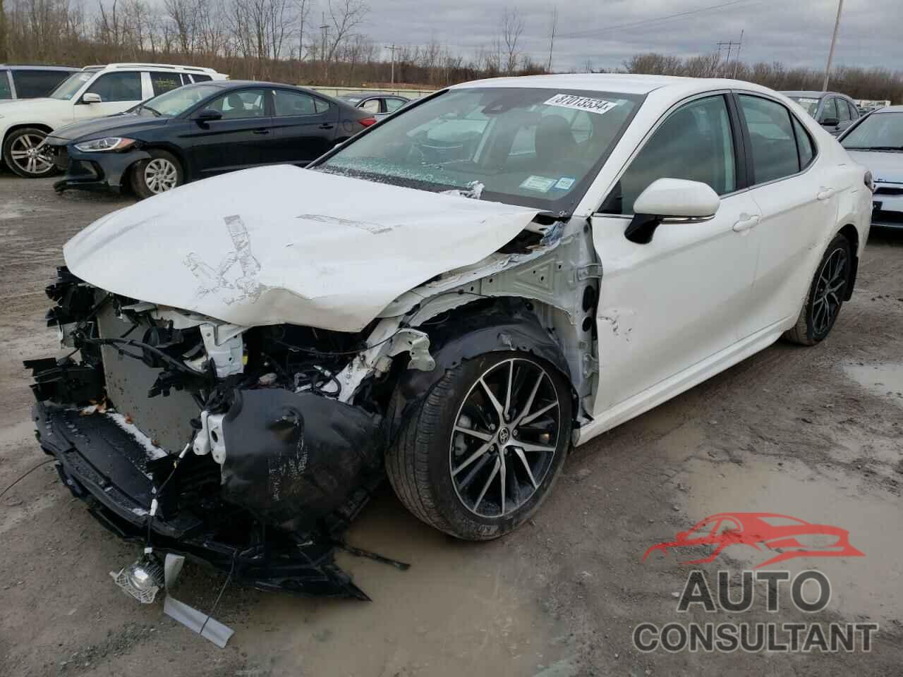 TOYOTA CAMRY 2024 - 4T1G11BK8RU123580