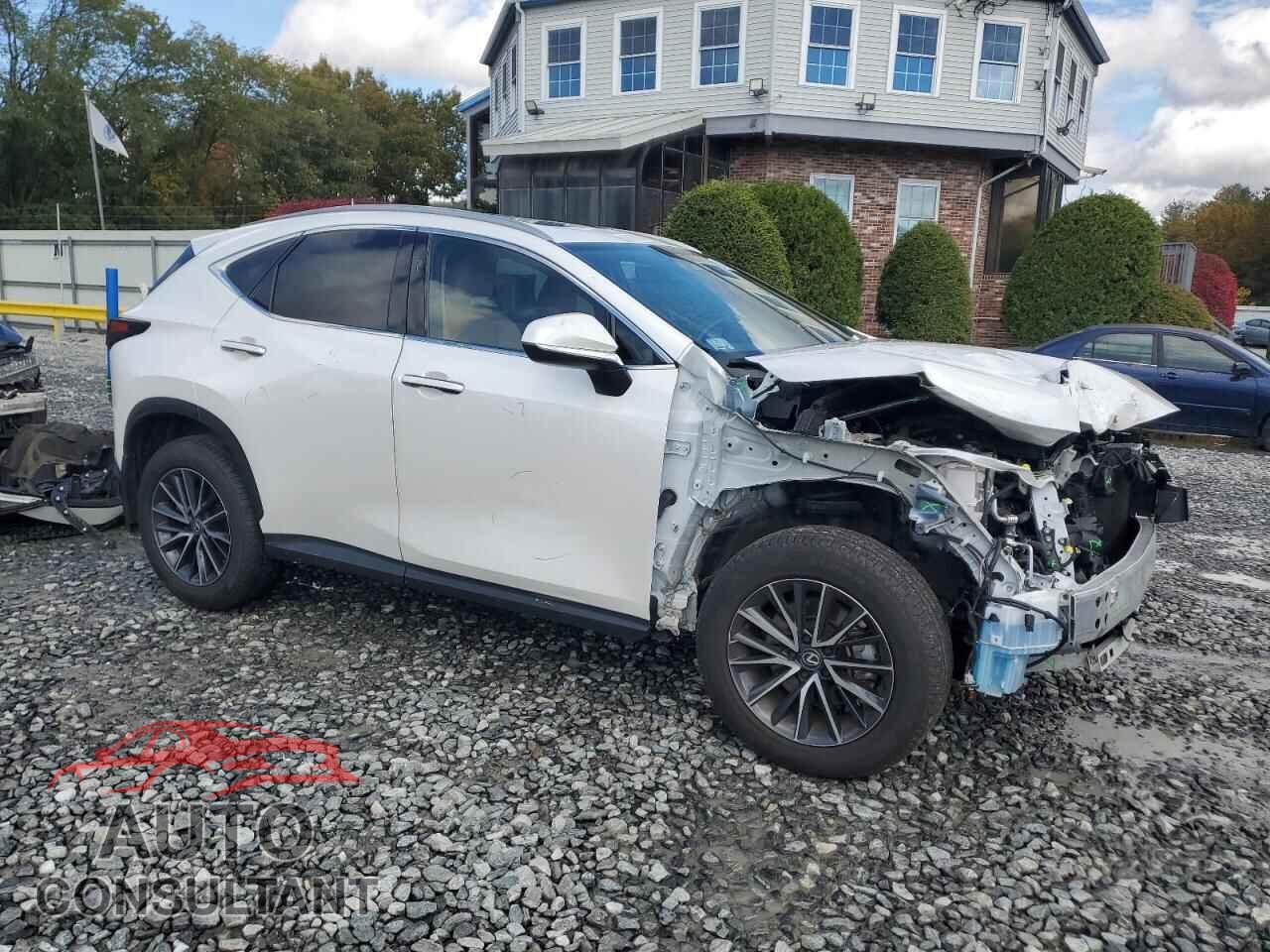 LEXUS NX 350 BAS 2024 - 2T2AGCEZ1RC034102