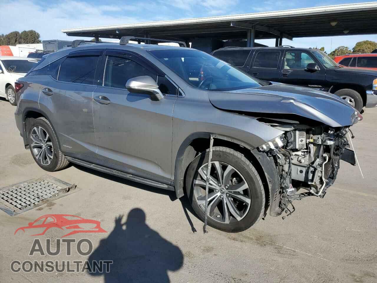 LEXUS RX450 2019 - 2T2BGMCA2KC031299
