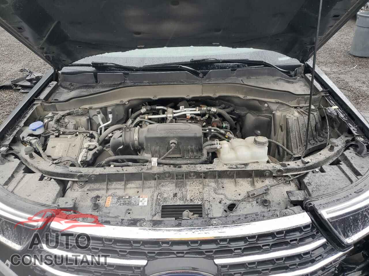 FORD EXPLORER 2022 - 1FMSK8DH4NGB26695