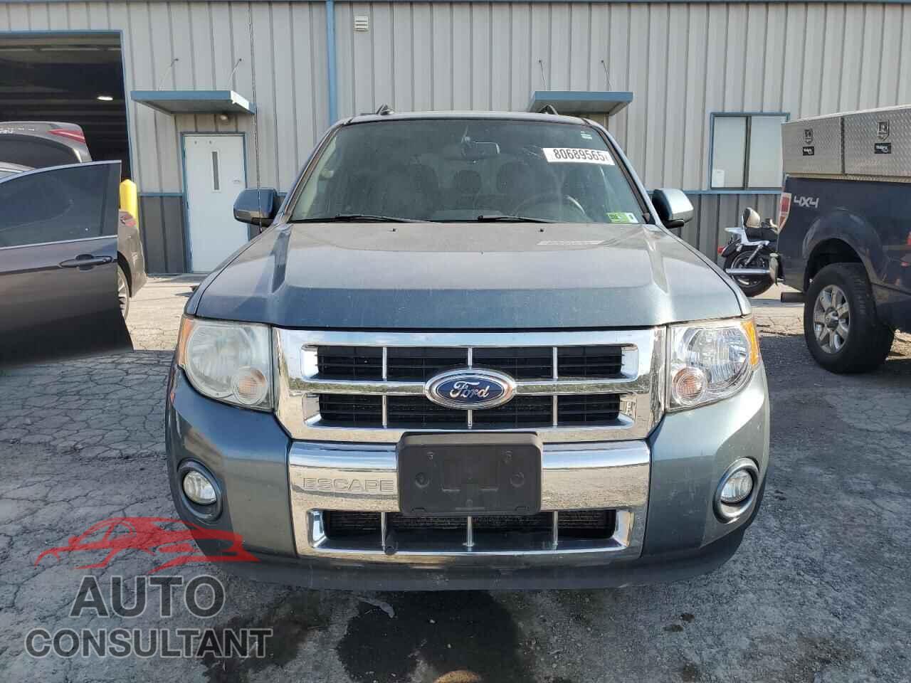 FORD ESCAPE 2011 - 1FMCU9EG2BKB32384