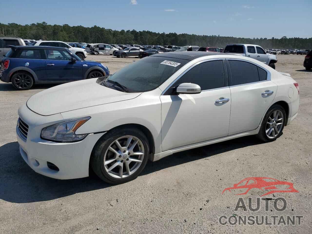 NISSAN MAXIMA 2009 - 1N4AA51E89C828436