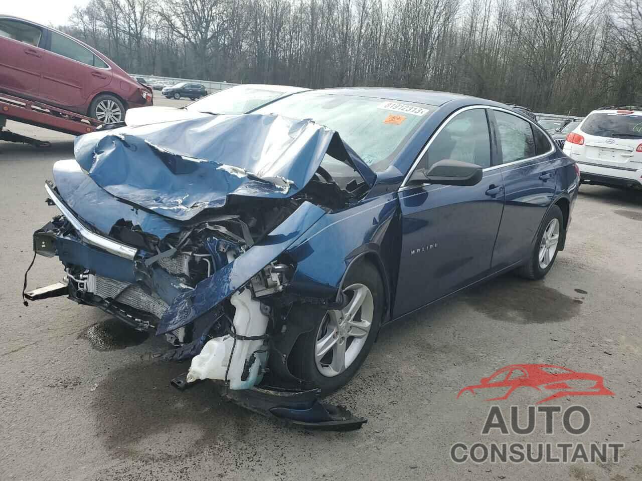 CHEVROLET MALIBU 2019 - 1G1ZB5ST2KF203583