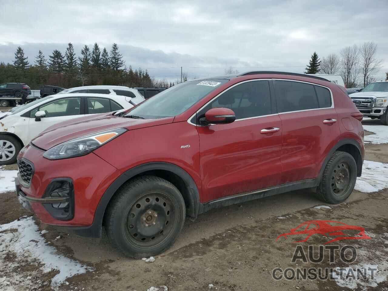 KIA SPORTAGE 2020 - KNDPRCA6XL7689436