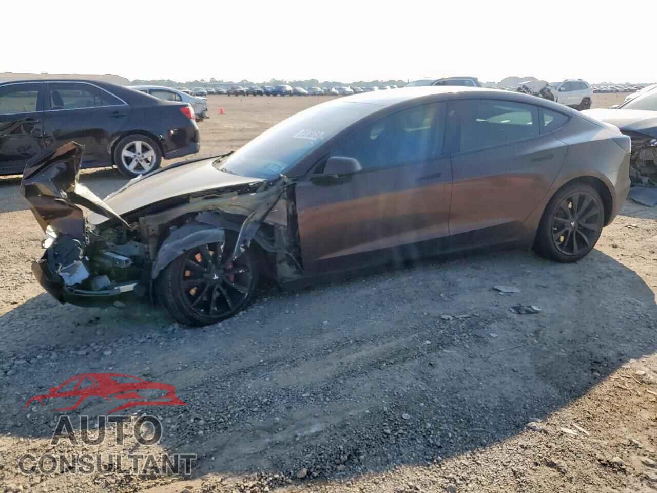 TESLA MODEL 3 2019 - 5YJ3E1EB2KF543126