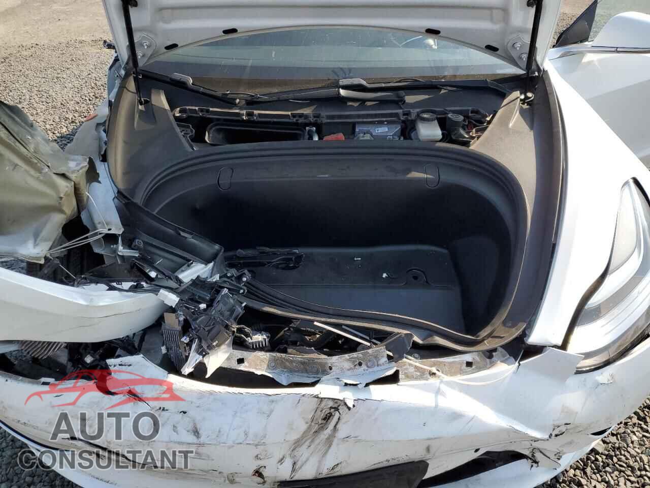 TESLA MODEL 3 2019 - 5YJ3E1EB9KF452905