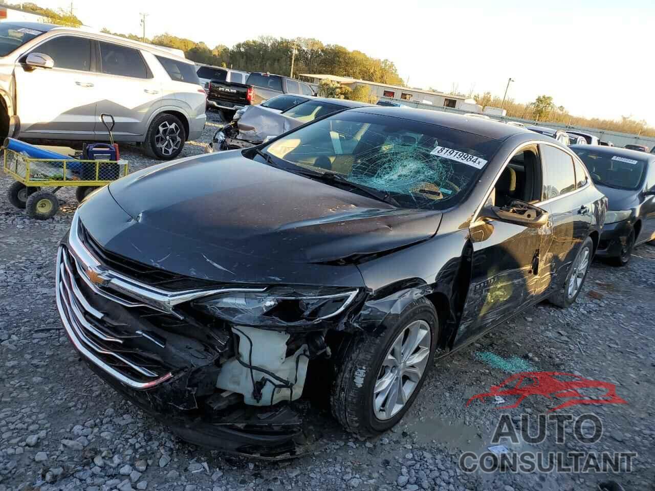 CHEVROLET MALIBU 2019 - 1G1ZD5ST1KF164902