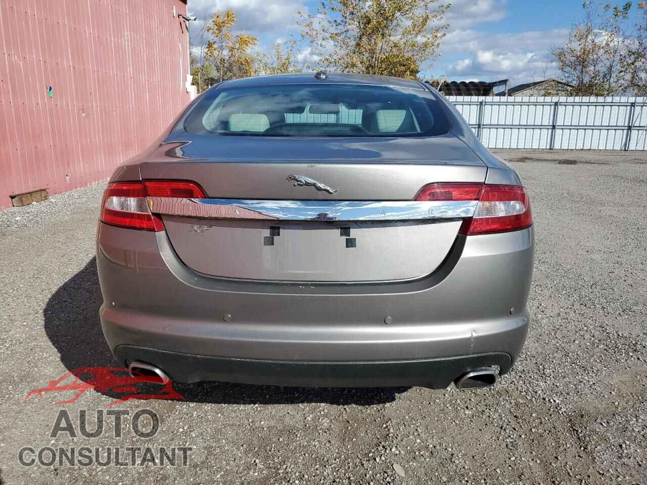 JAGUAR XF 2009 - SAJXA06B09HR27648