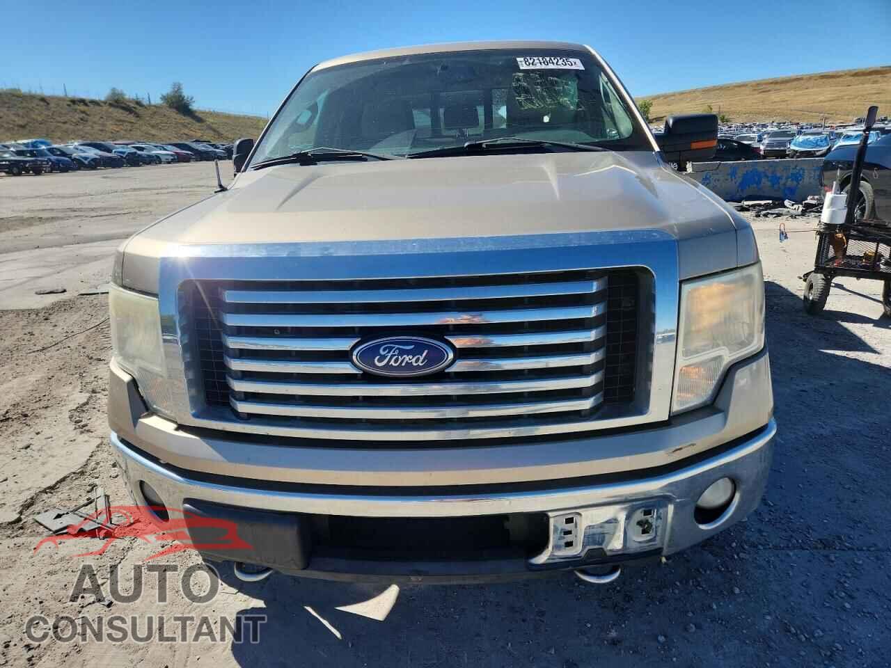 FORD F-150 2011 - 1FTFX1EF9BFB91975