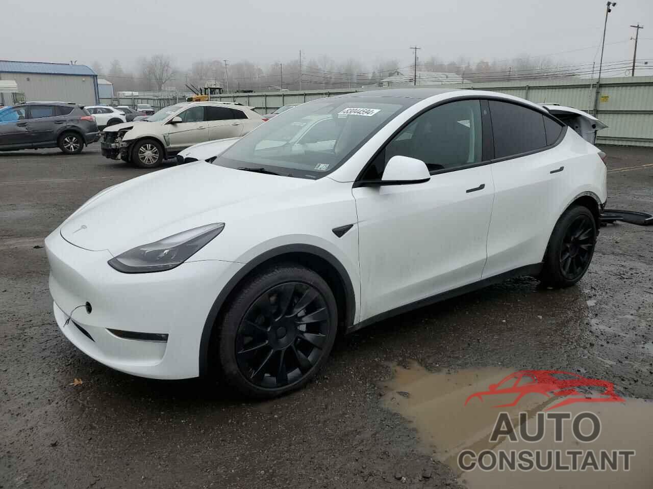 TESLA MODEL Y 2023 - 7SAYGAEE1PF673984