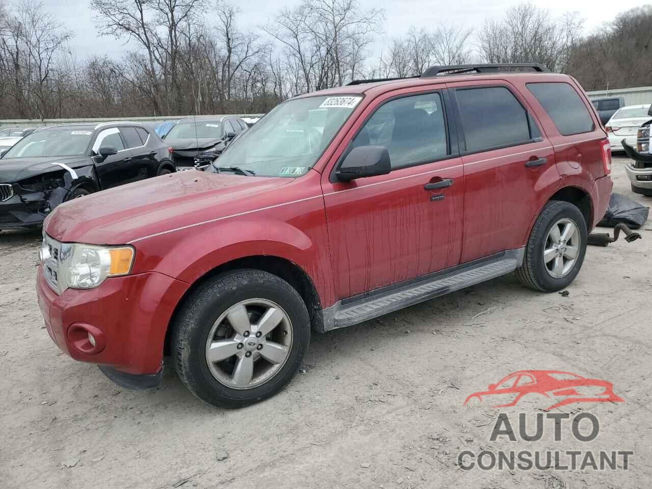 FORD ESCAPE 2011 - 1FMCU9DG3BKA54215