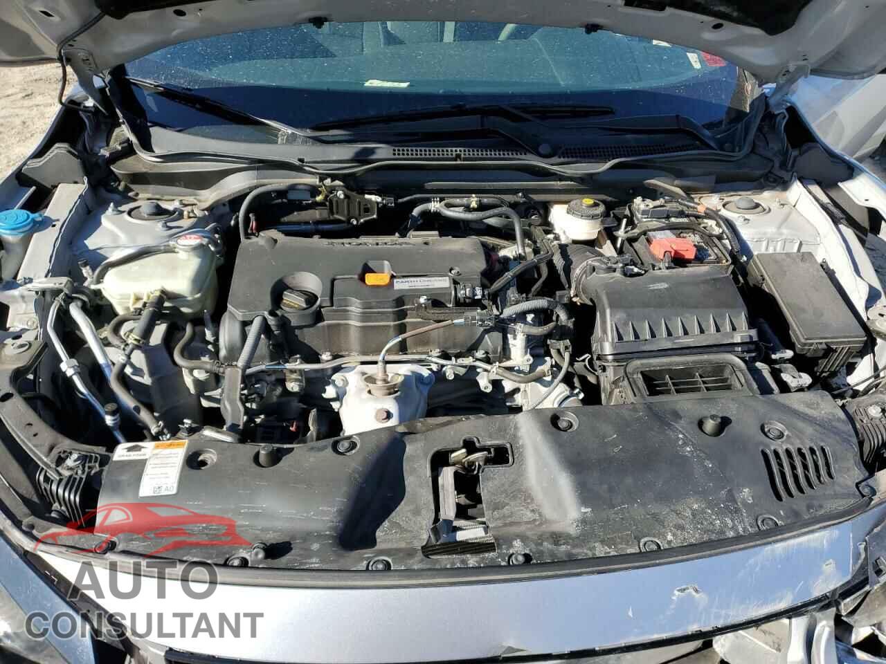 HONDA CIVIC 2019 - 2HGFC2F83KH584727