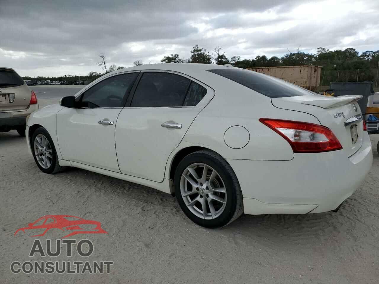 NISSAN MAXIMA 2011 - 1N4AA5AP8BC866353