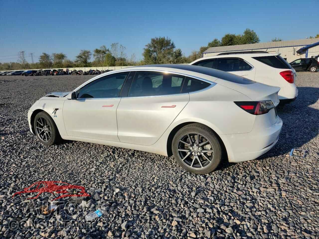 TESLA MODEL 3 2019 - 5YJ3E1EB8KF493817