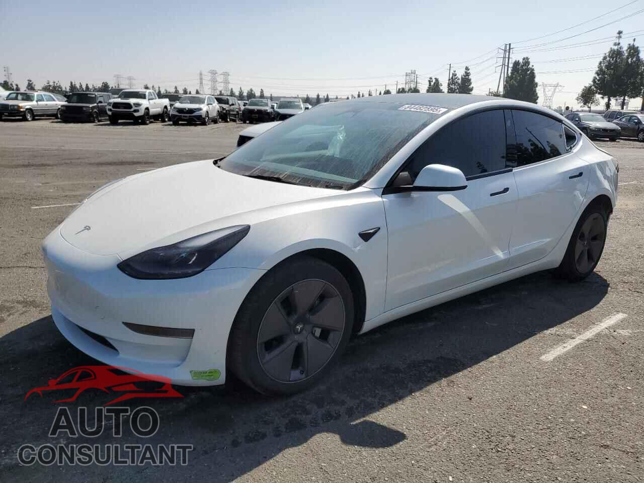 TESLA MODEL 3 2023 - 5YJ3E1EA1PF581798