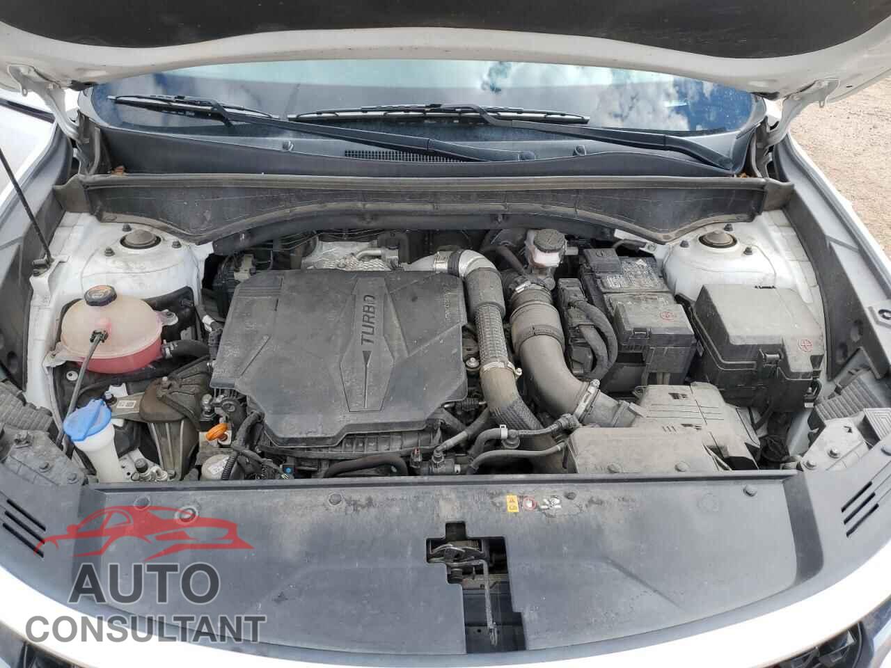 KIA SORENTO 2021 - 5XYRKDLF7MG053545