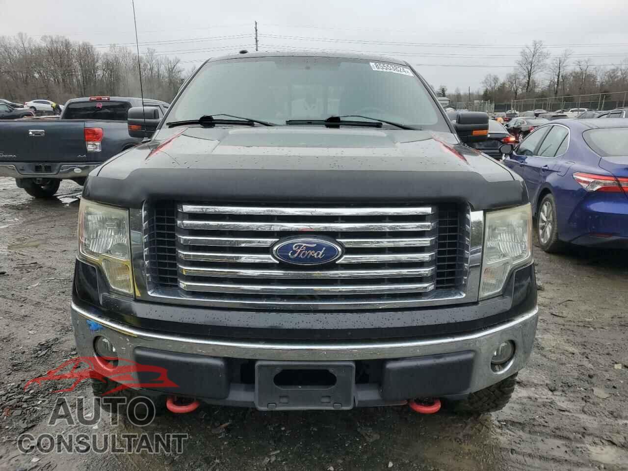 FORD F-150 2010 - 1FTFW1E87AFB19093