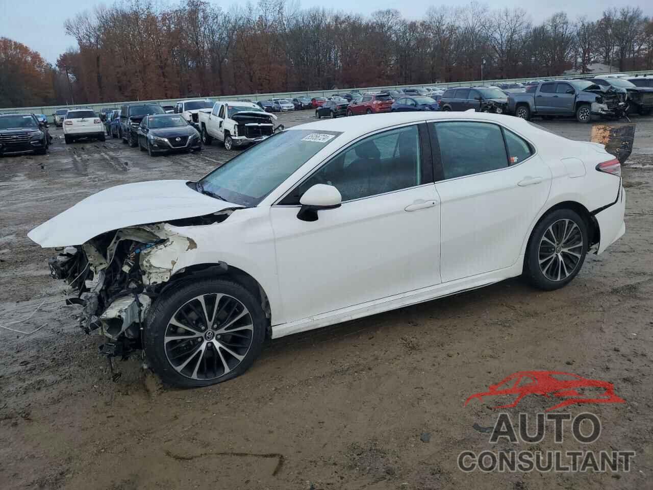 TOYOTA CAMRY 2019 - 4T1B11HK0KU805067