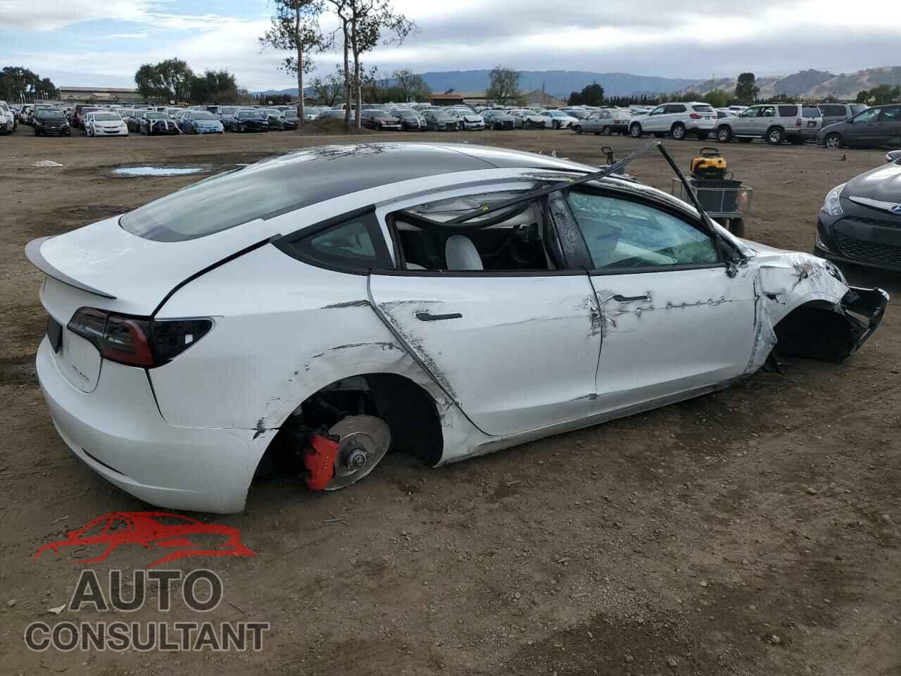 TESLA MODEL 3 2023 - 5YJ3E1EC0PF491947