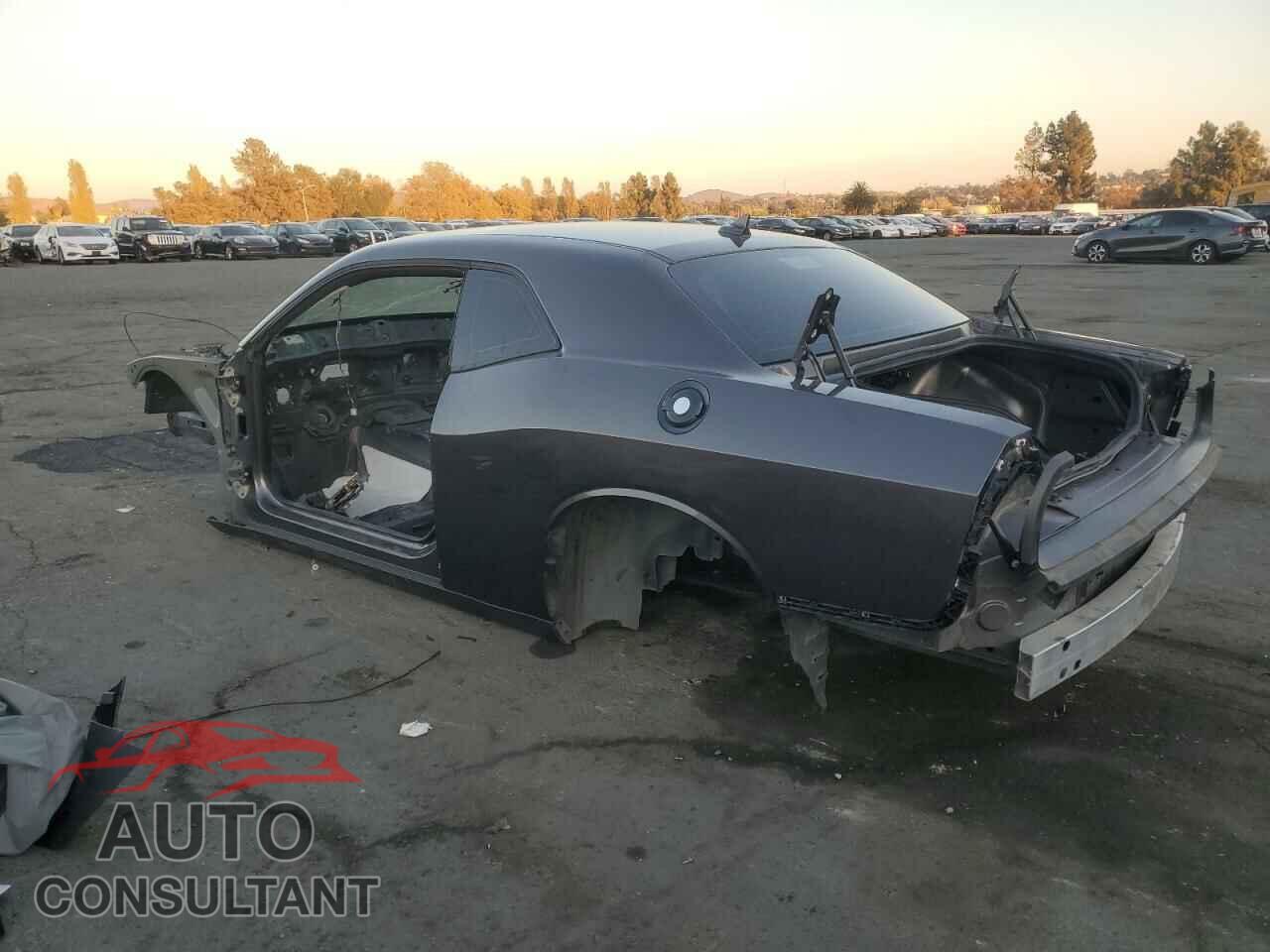 DODGE CHALLENGER 2016 - 2C3CDZC96GH308560
