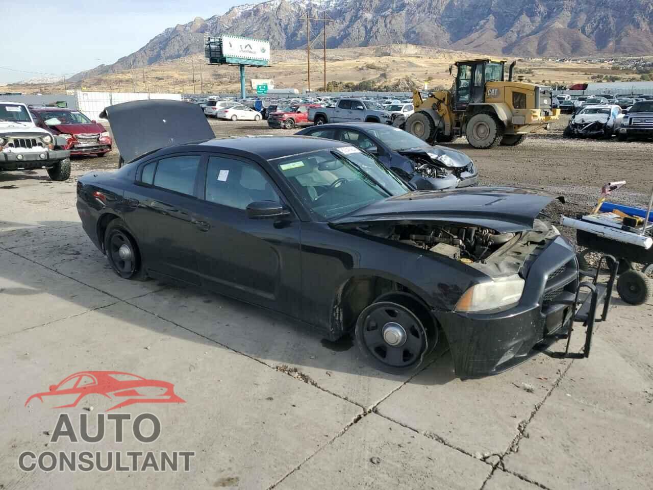 DODGE CHARGER 2013 - 2C3CDXAT7DH593381