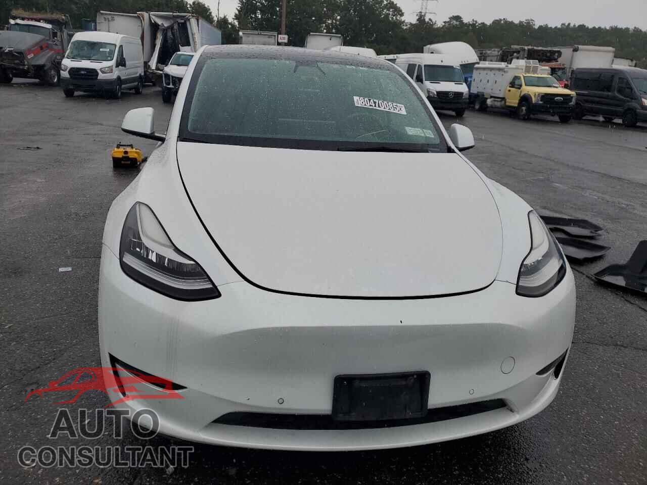 TESLA MODEL Y 2022 - 7SAYGAEE9NF389659