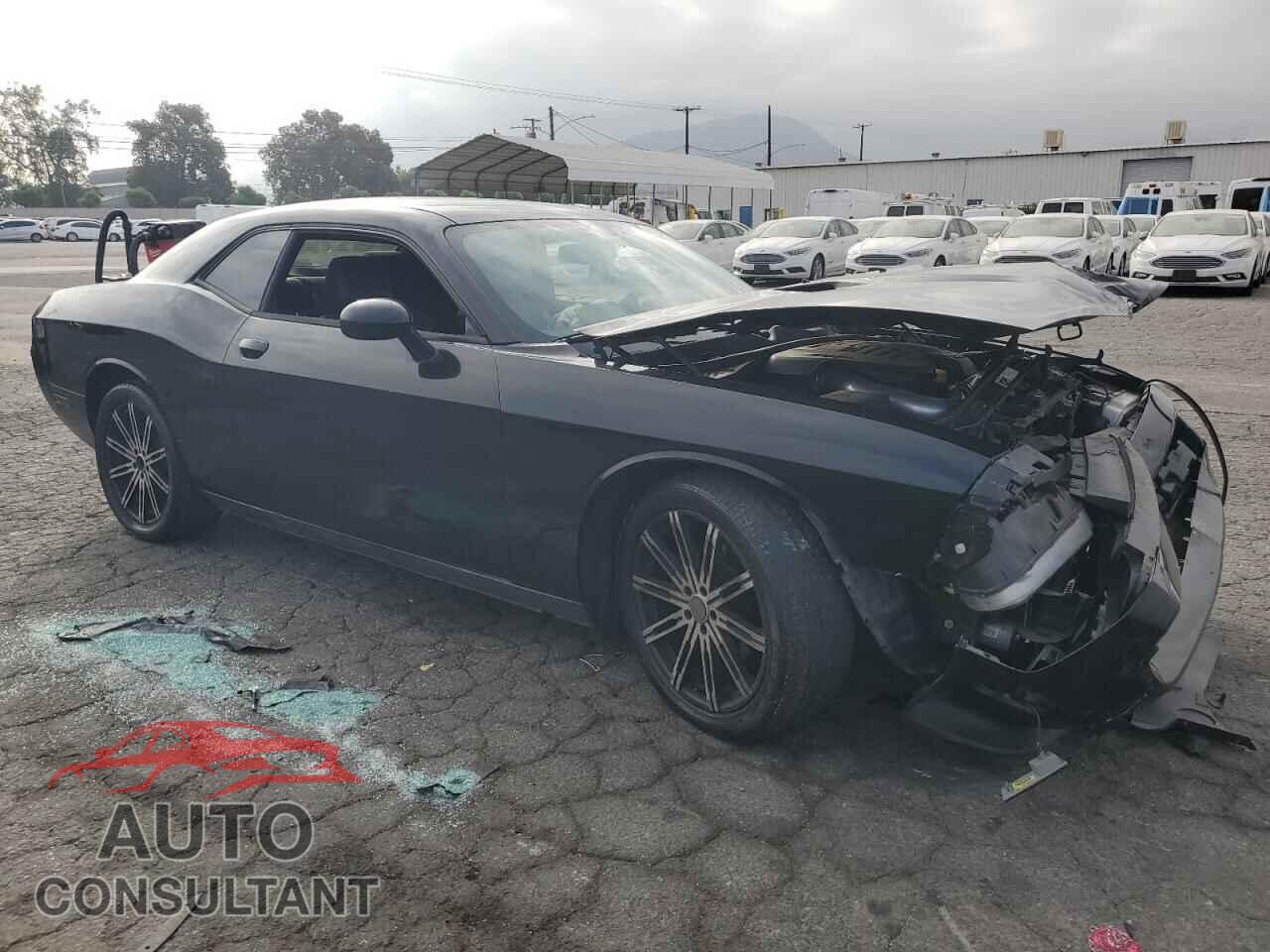 DODGE CHALLENGER 2013 - 2C3CDYAG4DH510871