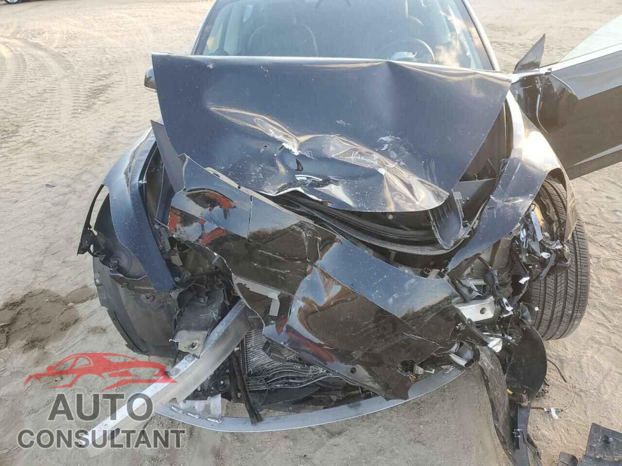 TESLA MODEL 3 2019 - 5YJ3E1EB3KF385587