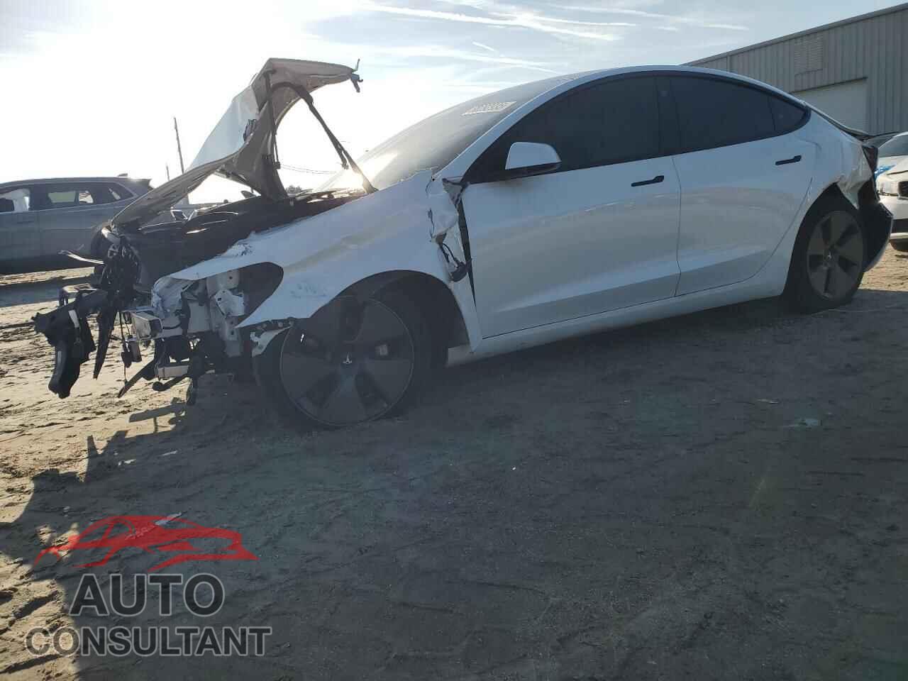 TESLA MODEL 3 2021 - 5YJ3E1EA8MF921606