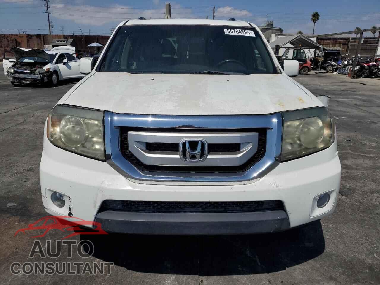 HONDA PILOT 2009 - 5FNYF38619B026102